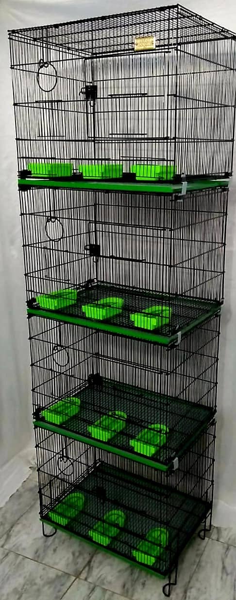 0346-1400171 Cage Pinjra Parrot Bajri Australian Tota Pahari Raw Green 17