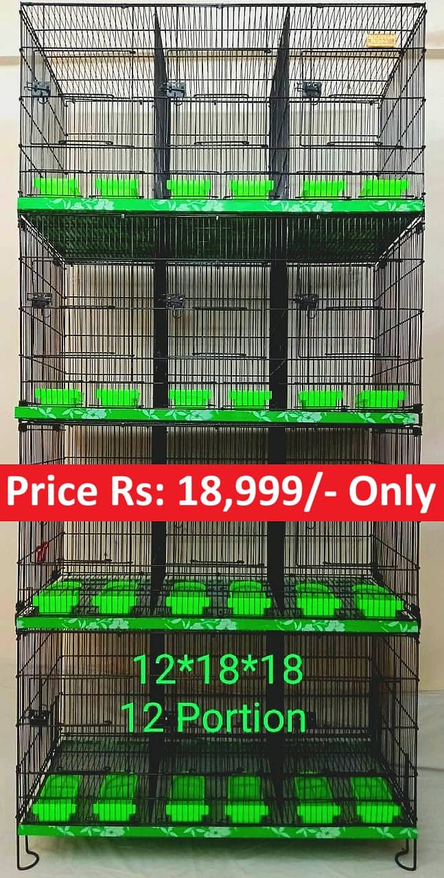 0346-1400171 Cage Pinjra Parrot Bajri Australian Tota Pahari Raw Green 19