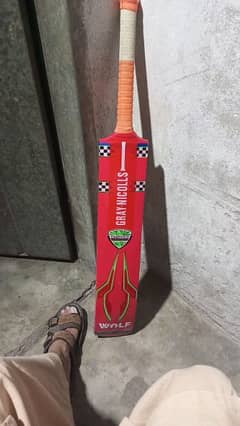 new cricket bat . . . 10 by 10 condition