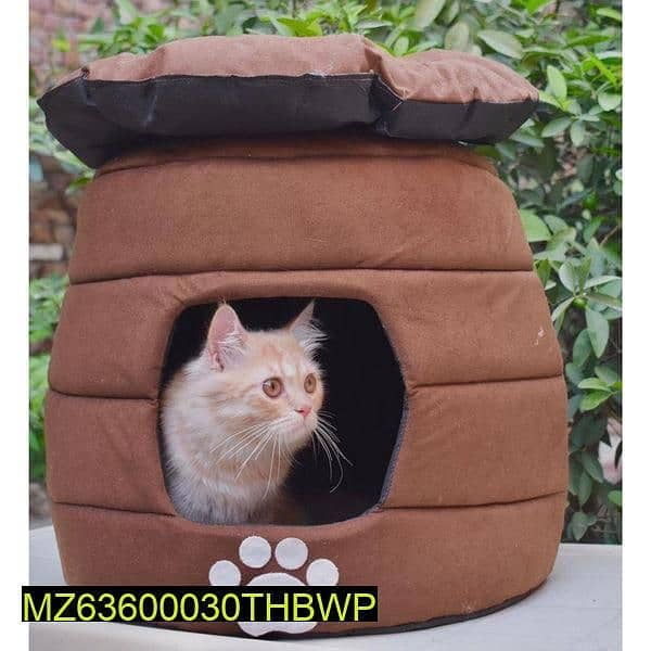 Pet cat house 1