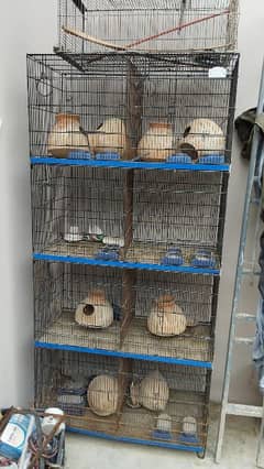 Bird cage in clearance olx