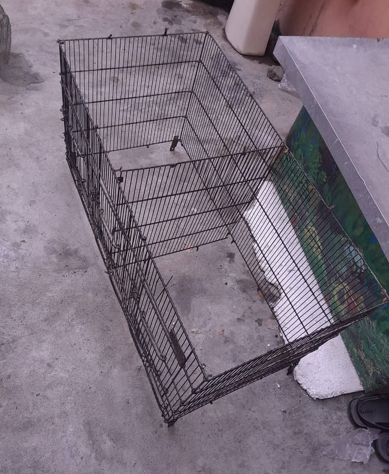 Bird cages / cages for sale/cage/iron cage/love bird/cocktail 1