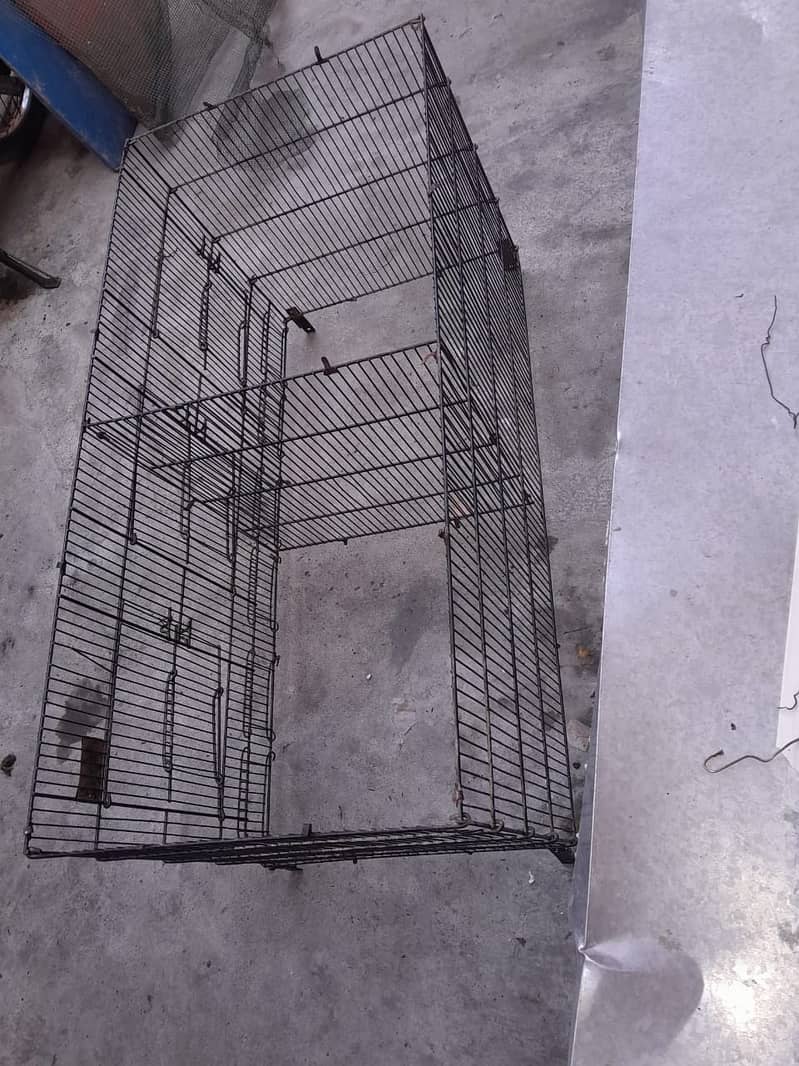 Bird cages / cages for sale/cage/iron cage/love bird/cocktail 2