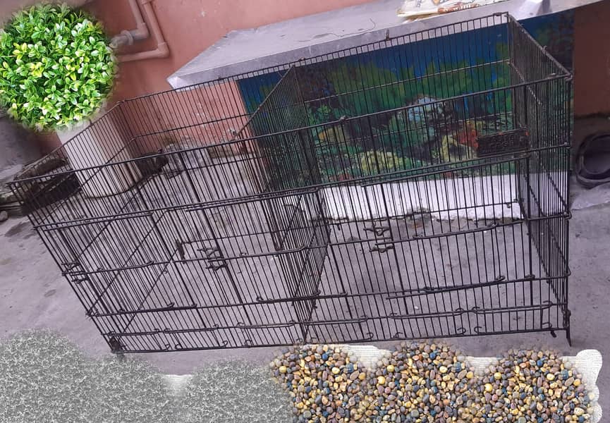 Bird cages / cages for sale/cage/iron cage/love bird/cocktail 5