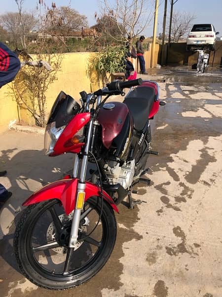 yamaha ybr125 2022 special number (302) for sale 5