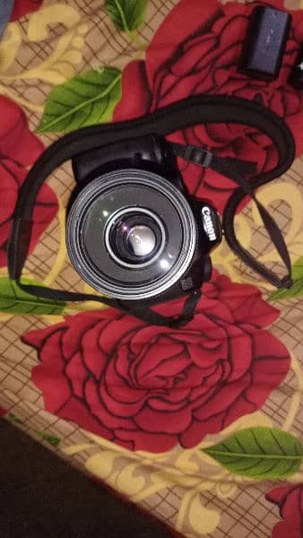 canon 60d with 70/300 lense 5