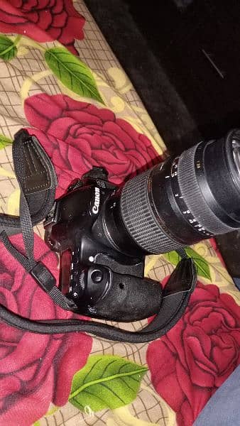 canon 60d with 70/300 lense 6