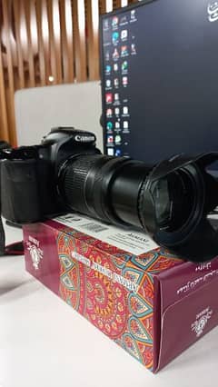 canon 60d with 55.250mm