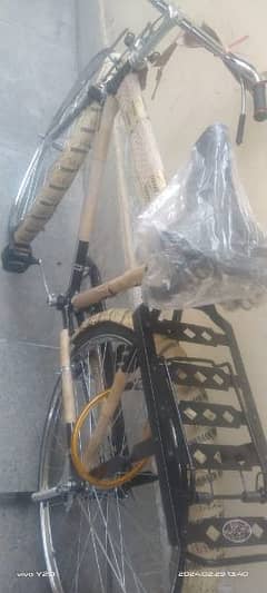 shaheen bicycle