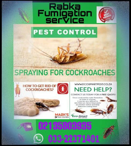 Pest Control Services Provided Ali in Karachi Call 0301-2924667 3