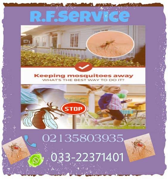 Pest Control Services Provided Ali in Karachi Call 0301-2924667 4