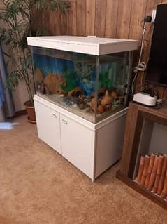3ft × 2ft aquarium brand new with imported water proof wood