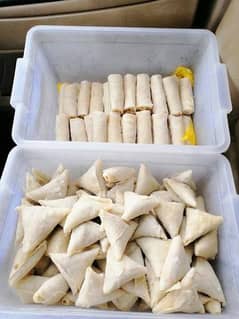 frozen fresh chiken mini samosa and rolls