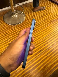 iphone 13 blue color pta approved