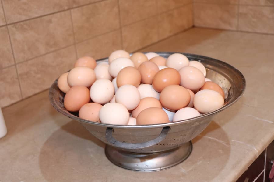 Desi Fresh Eggs Now available for sale. 1