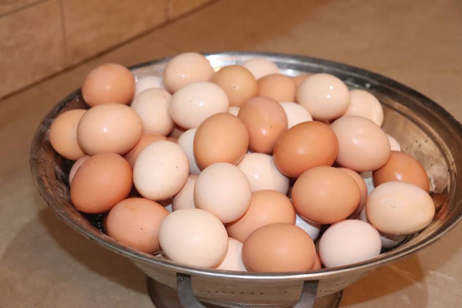 Desi Fresh Eggs Now available for sale. 2