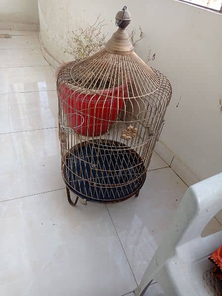 grey parrot cage for sale 1