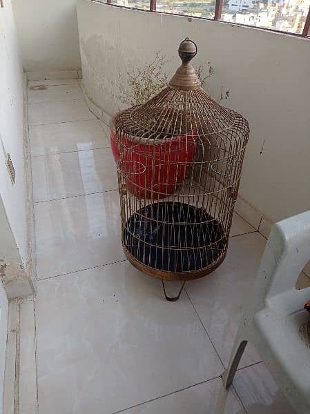 grey parrot cage for sale 2