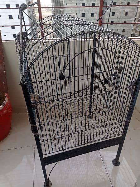 grey parrot cage for sale 4