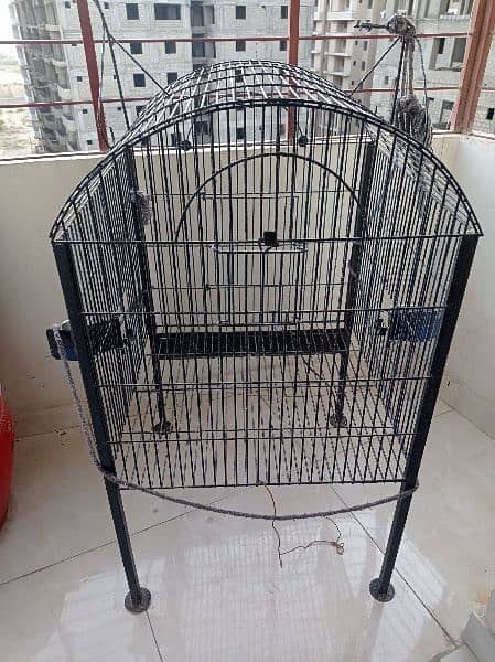 grey parrot cage for sale 5