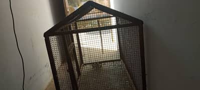 Birds Cage Total Iron