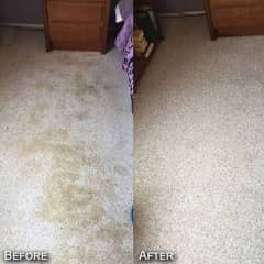 Sofa Cleaning Carpet Cleaning Deep Cleaning Blind Cleaning