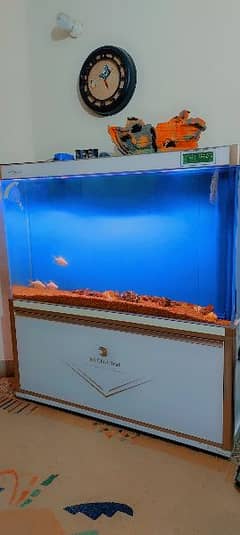 imported aquarium big size