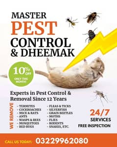 Pest control best fumigation deemak cockroach mosquitoes in lahore