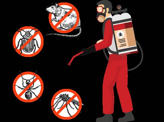 Pest control best fumigation deemak cockroach mosquitoes in lahore 1