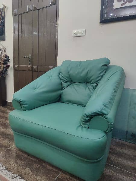 Evergreen Leather Sofa 5