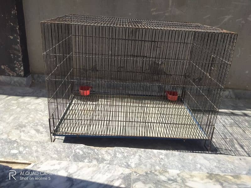 Cage with Good quality hen, dog, cat 1