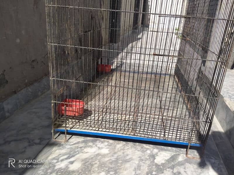 Cage with Good quality hen, dog, cat 2