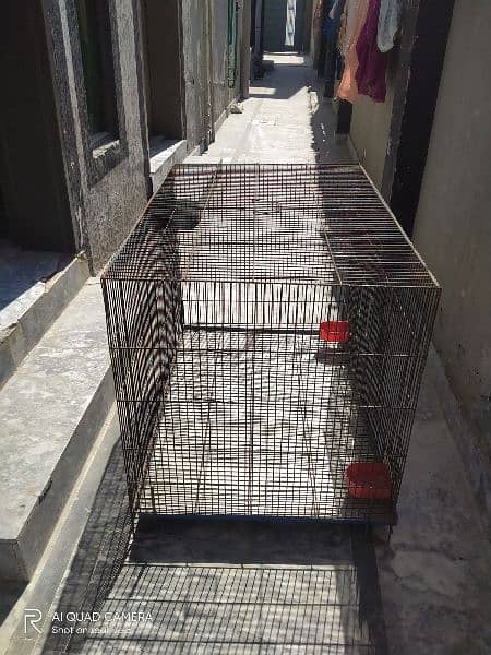 Cage with Good quality hen, dog, cat 3