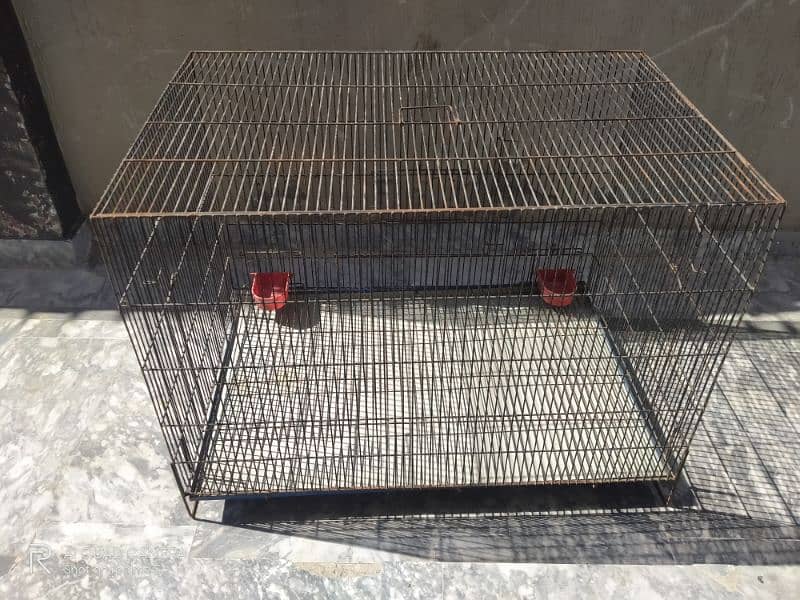 Cage with Good quality hen, dog, cat 4