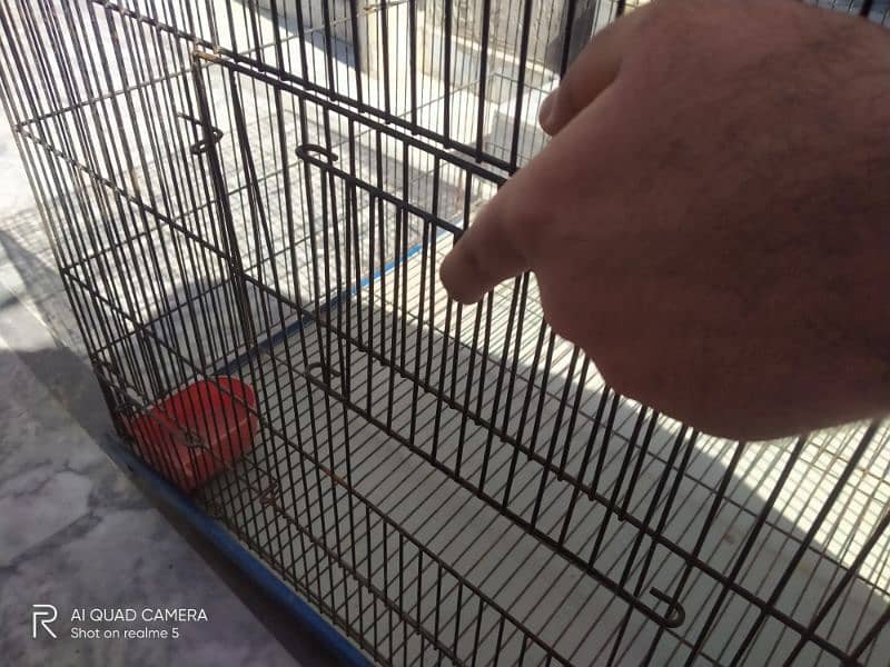 Cage with Good quality hen, dog, cat 6