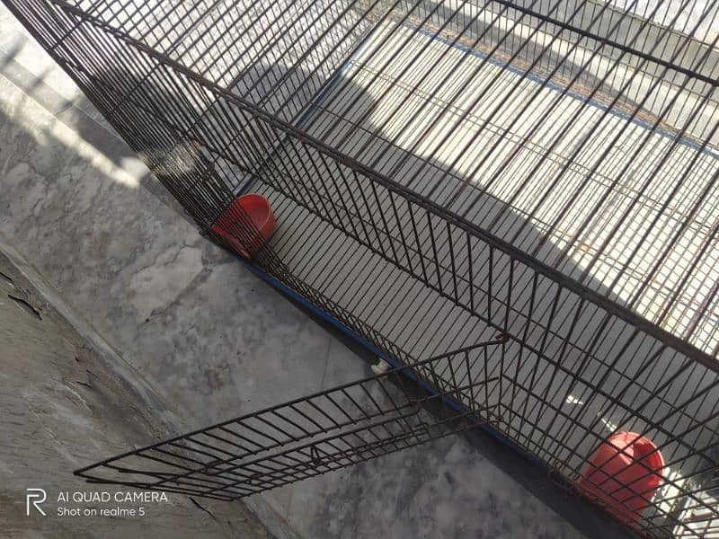 Cage with Good quality hen, dog, cat 7