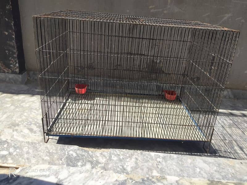 Cage for hen, dog, Cat and etc 0
