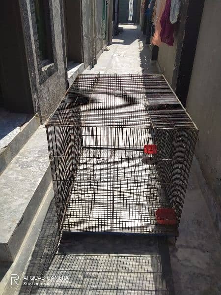 Cage for hen, dog, Cat and etc 3