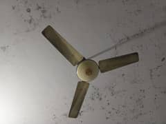 3 ceiling fans copper winding