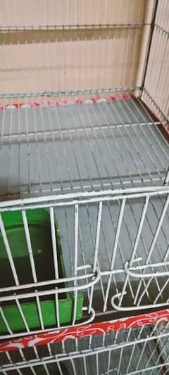 Parrots cage