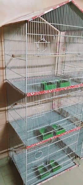 Parrots cage 2