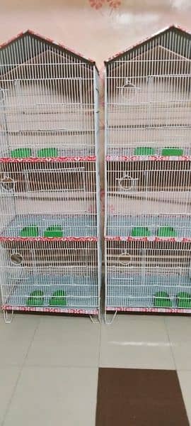 Parrots cage 3