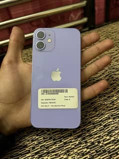iphone 12 mini purple colour
