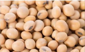 soya beans 400 rs per kg se 650 PR kg avalaible hn