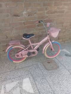 princess cycle for kids in best condition