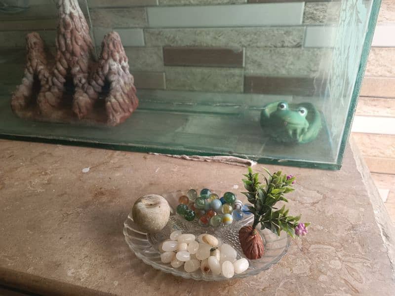 Full size Aquarium - thick glass - with decorations 0