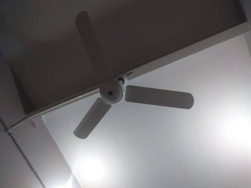 50 watt 56" energy saver Royal ceiling fans for sale 1