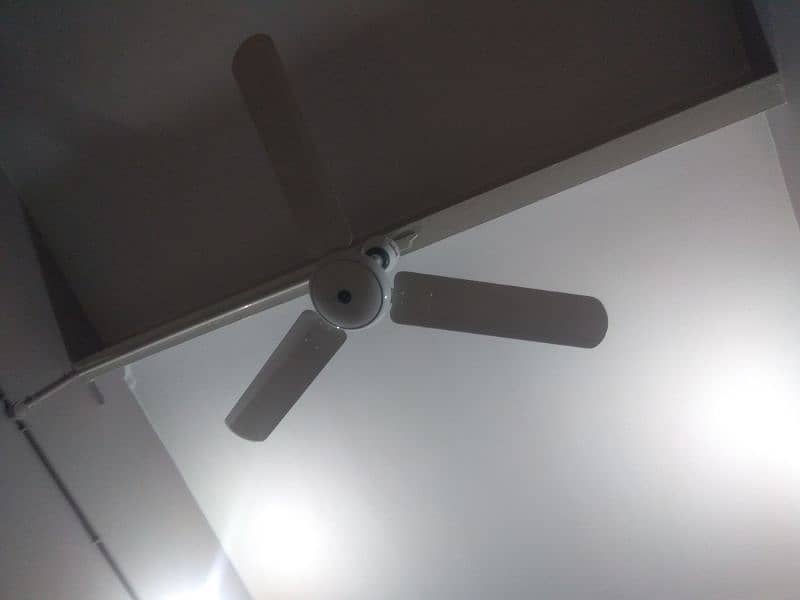50 watt 56" energy saver Royal ceiling fans for sale 3