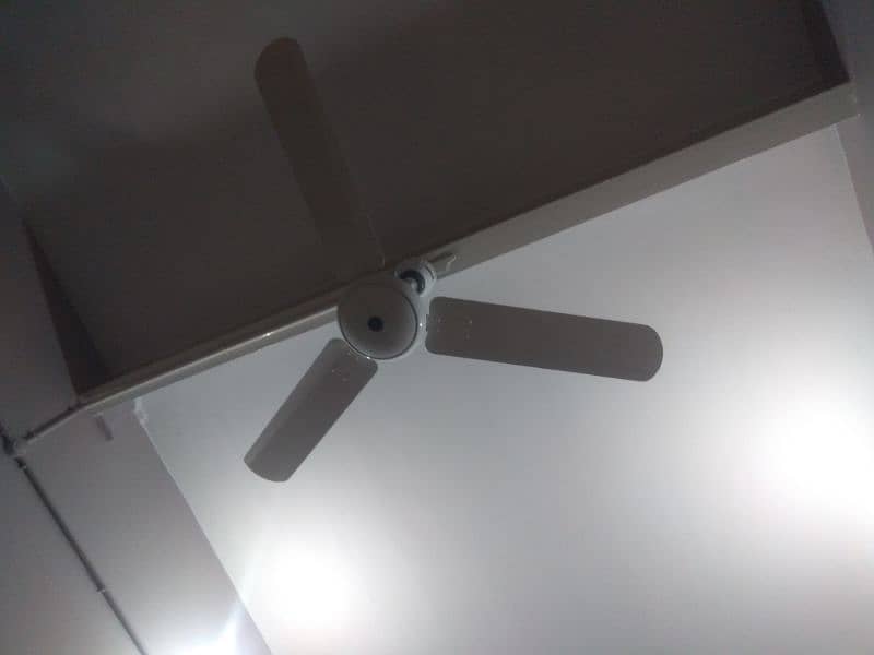 50 watt 56" energy saver Royal ceiling fans for sale 5