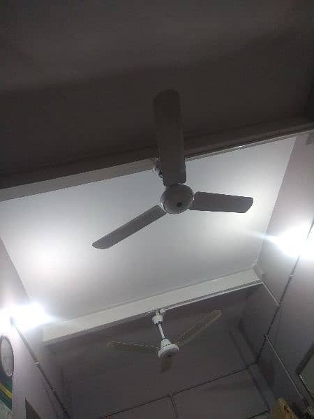 50 watt 56" energy saver Royal ceiling fans for sale 9